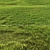 Versatile Grass Pack 3D model small image 4