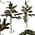 Lush Pine Forest 3D Model 3D model small image 1