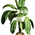 Tropical Banana Plant Model 3D model small image 2