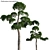 Versatile 3D Tree Model 3D model small image 1