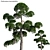 Archived 3D Plant Models for 3ds Max, FBX, and OBJ 3D model small image 1