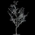 Winter Wonderland Poplar Tree 3D model small image 1