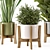  Rusty Concrete Pot Indoor Plants Set 3D model small image 5