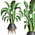 Indoor Plant Collection 46 3D model small image 1