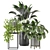 Green Oasis: Indoor Plants Set 3D model small image 1