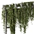 Vibrant Outdoor Hanging Plants 3D model small image 2