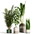 Indoor Plant Collection - Set of 59 3D model small image 1