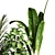 Indoor Plant Collection - Set of 59 3D model small image 3