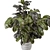 Rusty Concrete Pot Indoor Plants - Set 549 3D model small image 2