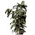 Rusty Concrete Pot Indoor Plants - Set 549 3D model small image 3