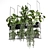 Metal Box with Hanging Plants 3D model small image 2