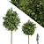 Lifelike Street Landscape Trees 3D model small image 1