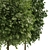 Lifelike Street Landscape Trees 3D model small image 2