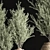 Indoor Olive Plant Set - Modern Design 3D model small image 6