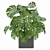 Monstera Collection: Indoor Jungle Vibe 3D model small image 5