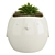 Bird Pot Plants: Beautiful Greenery in Stylish Pots 3D model small image 1