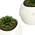 Bird Pot Plants: Beautiful Greenery in Stylish Pots 3D model small image 3