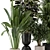 Ferm Living Indoor Plants: Bau Pot Large - Set 552 3D model small image 5