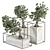 ZenMinds Bonsai Set: Indoor Plant Set 358 3D model small image 1