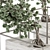 ZenMinds Bonsai Set: Indoor Plant Set 358 3D model small image 2