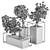 ZenMinds Bonsai Set: Indoor Plant Set 358 3D model small image 4