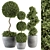 Outdoor Greenery Set: Topiary & Bush 3D model small image 1