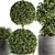 Outdoor Greenery Set: Topiary & Bush 3D model small image 2