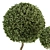 Outdoor Greenery Set: Topiary & Bush 3D model small image 3