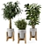  Rustic Concrete Pot with Wooden Base - Indoor Plant Set 3D model small image 11