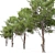 Eldarica Pine: Majestic and Resilient 3D model small image 3