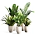 Botanical Bliss: Indoor Plant Set 3D model small image 1