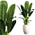 Botanical Bliss: Indoor Plant Set 3D model small image 2