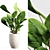 Botanical Bliss: Indoor Plant Set 3D model small image 4