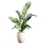 Botanical Bliss: Indoor Plant Set 3D model small image 5
