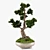 Handcrafted Bonsai Pinus Sylvestris: Miniature Living Art 3D model small image 2