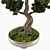 Handcrafted Bonsai Pinus Sylvestris: Miniature Living Art 3D model small image 5