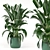 Green Oasis: Indoor Plant Collection 3D model small image 1