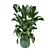 Green Oasis: Indoor Plant Collection 3D model small image 6