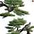  Pine Bonsai Tree: 3D Models & Textures 3D model small image 2