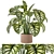 Indoor Plant Collection - Set 273: 3D Models 3D model small image 2