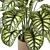 Indoor Plant Collection - Set 273: 3D Models 3D model small image 4