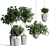 Indoor Plants Collection 62 3D model small image 1