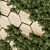 Fitowall Leaf Wood Plant Collection 3D model small image 3