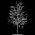 Snowy Birch Tree - 8.4m Height 3D model small image 1