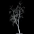 Snow-covered Birch Tree - 13.7m 3D model small image 2
