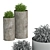 Double Greenery in Oversized Pots 3D model small image 3