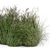 Outdoor Plants Set - Bush-Bush 566 3D model small image 3