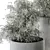 372 Indoor Plant Set: Bush & Plant in Pot 3D model small image 4