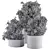 372 Indoor Plant Set: Bush & Plant in Pot 3D model small image 5