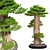 Exquisite Bonsai: 1.7m of Natural Beauty 3D model small image 3